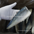 Filete de pescado de caballa natural al por mayor congelado para la exportación